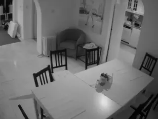 Julmodels Dining Room's Live Sex Cam Show