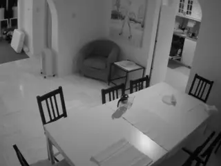 Julmodels Dining Room's Live Sex Cam Show