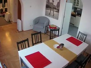 Julmodels Dining Room's Live Sex Cam Show