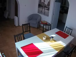 Julmodels Dining Room's Live Sex Cam Show