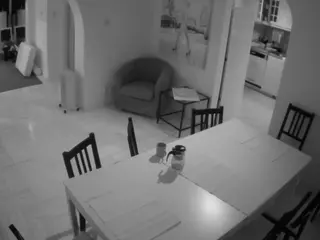 Julmodels Dining Room's Live Sex Cam Show