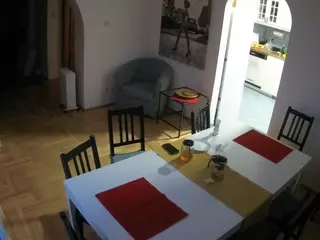 Julmodels Dining Room's Live Sex Cam Show