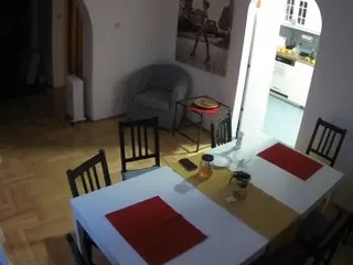 Julmodels Dining Room's Live Sex Cam Show