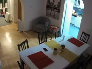 Julmodels Dining Room's Live Sex Cam Show