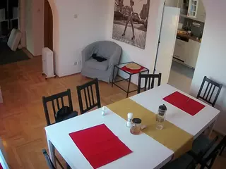 Julmodels Dining Room's Live Sex Cam Show