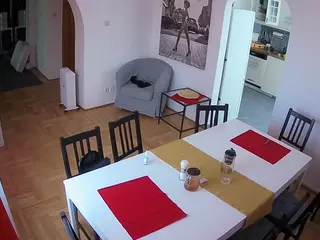 Julmodels Dining Room's Live Sex Cam Show