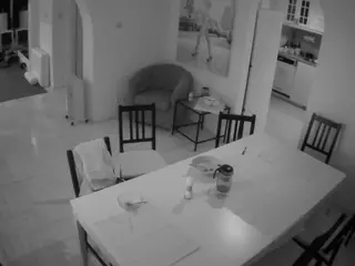 Julmodels Dining Room's Live Sex Cam Show