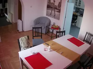 Julmodels Dining Room's Live Sex Cam Show