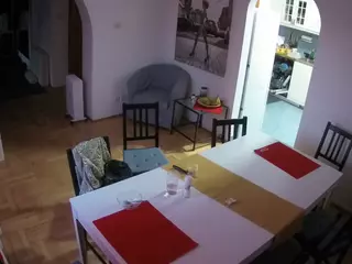Julmodels Dining Room's Live Sex Cam Show