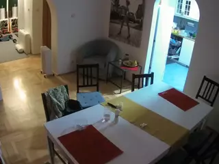 Julmodels Dining Room's Live Sex Cam Show