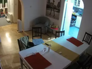 Julmodels Dining Room's Live Sex Cam Show
