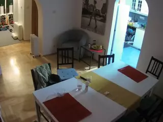 Julmodels Dining Room's Live Sex Cam Show
