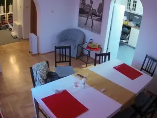 Julmodels Dining Room's Live Sex Cam Show