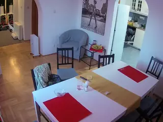 Julmodels Dining Room's Live Sex Cam Show