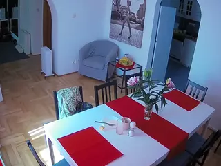 Julmodels Dining Room's Live Sex Cam Show