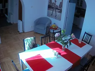 Julmodels Dining Room's Live Sex Cam Show