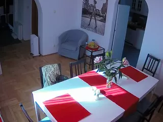 Julmodels Dining Room's Live Sex Cam Show