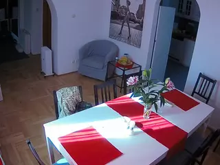 Julmodels Dining Room's Live Sex Cam Show