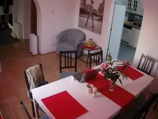 Julmodels Dining Room's Live Sex Cam Show