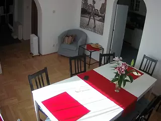 Julmodels Dining Room's Live Sex Cam Show