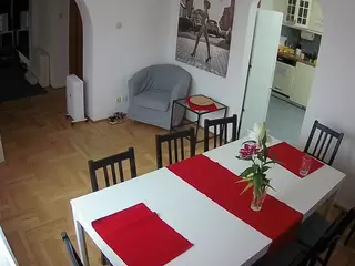 Julmodels Dining Room's Live Sex Cam Show