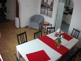 Julmodels Dining Room's Live Sex Cam Show