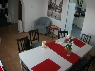 Julmodels Dining Room's Live Sex Cam Show