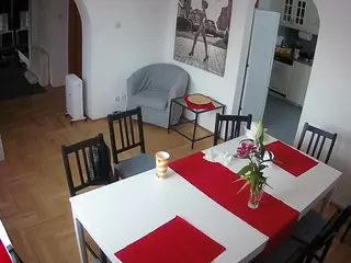 Julmodels Dining Room's Live Sex Cam Show