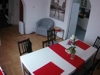 Julmodels Dining Room's Live Sex Cam Show