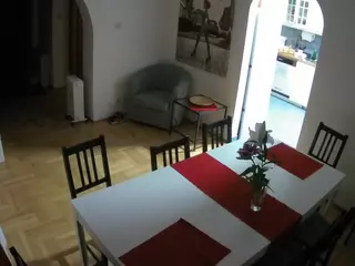 Julmodels Dining Room's Live Sex Cam Show