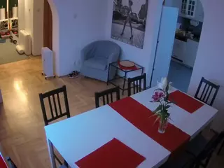Julmodels Dining Room's Live Sex Cam Show
