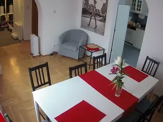 Julmodels Dining Room's Live Sex Cam Show