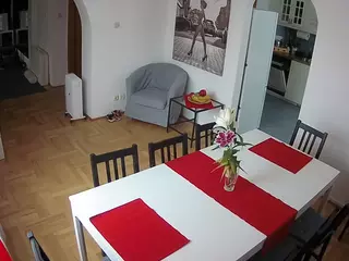 Julmodels Dining Room's Live Sex Cam Show