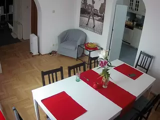 Julmodels Dining Room's Live Sex Cam Show