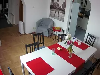 Julmodels Dining Room's Live Sex Cam Show