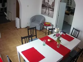Julmodels Dining Room's Live Sex Cam Show
