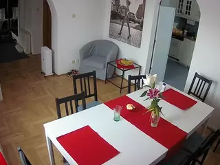 Julmodels Dining Room's Live Sex Cam Show