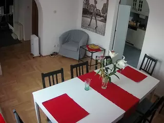 Julmodels Dining Room's Live Sex Cam Show