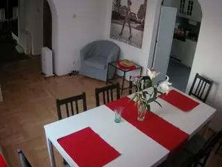 Julmodels Dining Room's Live Sex Cam Show