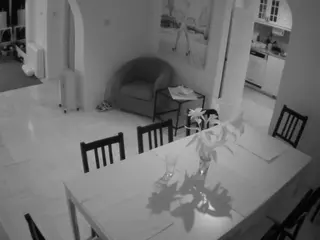 Julmodels Dining Room's Live Sex Cam Show