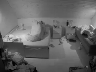 Julmodels Bedroom-B3's Live Sex Cam Show