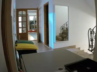 Julmodels Hall 1st Floor's Live Sex Cam Show