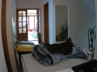 Julmodels Hall 1st Floor's Live Sex Cam Show