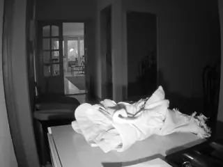Julmodels Hall 1st Floor's Live Sex Cam Show