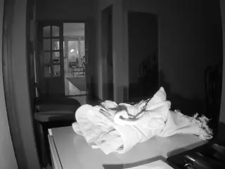 Julmodels Hall 1st Floor's Live Sex Cam Show