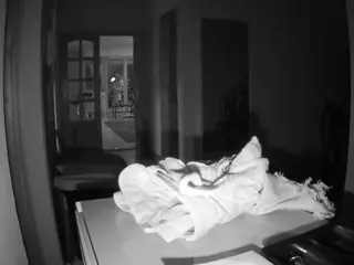 Julmodels Hall 1st Floor's Live Sex Cam Show