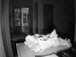 Julmodels Hall 1st Floor's Live Sex Cam Show