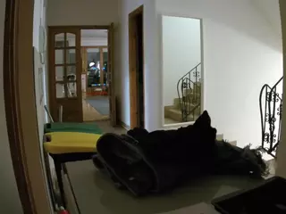 Julmodels Hall 1st Floor's Live Sex Cam Show