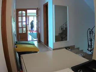 Julmodels Hall 1st Floor's Live Sex Cam Show