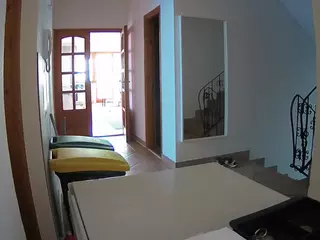 Julmodels Hall 1st Floor's Live Sex Cam Show
